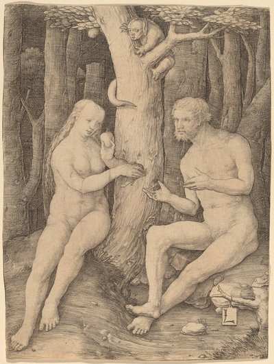 La caduta dell