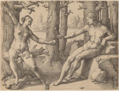 La caduta dell