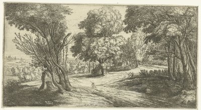 Paesaggio boschivo da Lucas van Uden