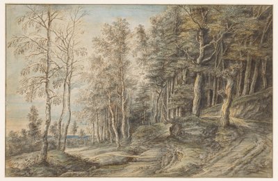 Paesaggio boschivo da Lucas van Uden