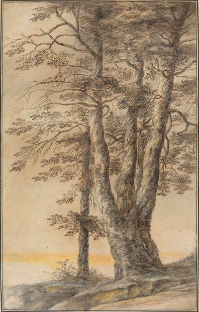 Studio di Alberi da Lucas van Uden