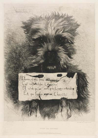 Per i Poveri da Ludovic Napoléon, Vicomte Lepic