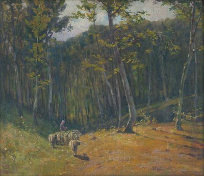 Pecore nella foresta da Ludovit Cordak