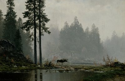 Nebbia autunnale da Ludvig Skramstad
