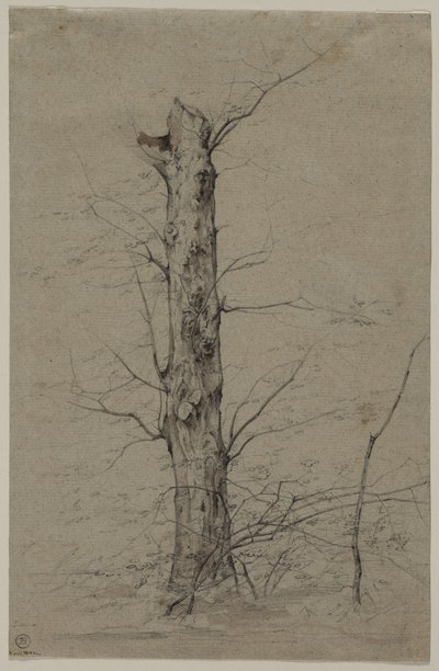 Albero da Ludwig Ferdinand Schnorr von Carolsfeld