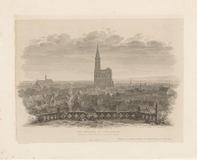 Vista della cattedrale di Strasburgo da Ludwig Friedrich Schnell