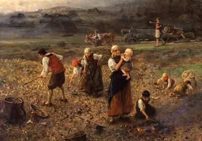 Potato harvest da Ludwig Knaus