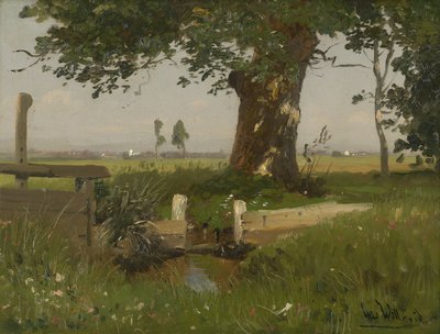 Paesaggio estivo su prato in Carinzia da Ludwig Willroider