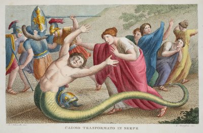 Cadmo trasformato in serpente, Libro IV, illustrazione dalle 