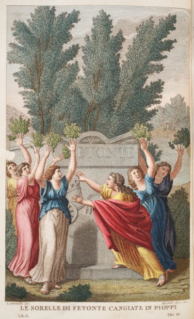 Le sorelle di Fetonte cangiate in pioppi, illustrazione dalle Metamorfosi di Ovidio, Firenze, 1832 da Luigi Ademollo