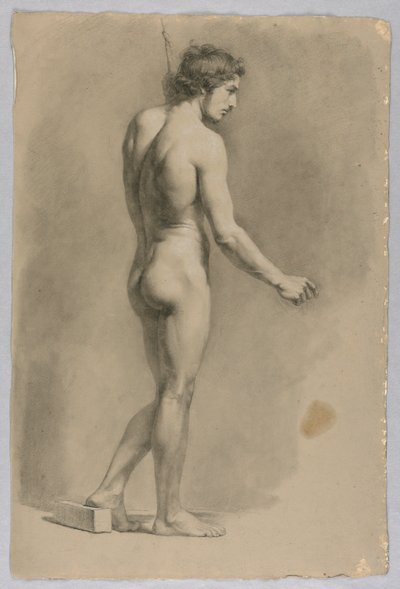 Nudo maschile da Luigi Calamatta