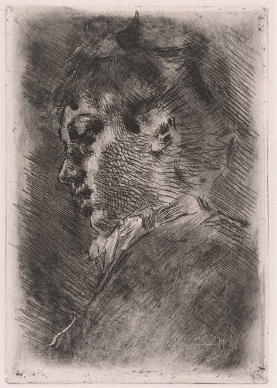 Ritratto di una Giovane Donna di Profilo da Luigi Conconi