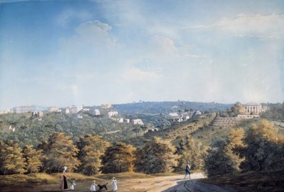 Collina di Capodimonte e ville lungo la strada Ponti Rossi da Luigi Fergola