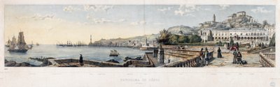 Veduta panoramica della città di Genova da Luigi Garibbo