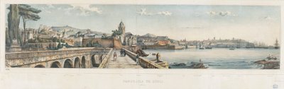 Veduta panoramica della città di Genova da Luigi Garibbo