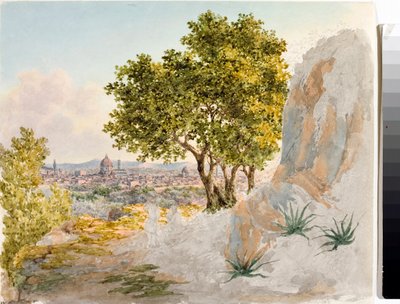 Veduta panoramica di Firenze da Luigi Garibbo