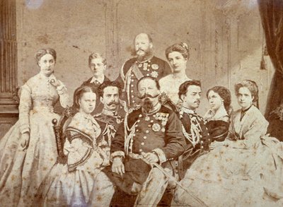Il quadro ritrae vari membri della famiglia reale di Savoia. Al centro, seduti, Vittorio Emanuele II, Umberto I e Amedeo in uniforme da cerimonia; le figlie del sovrano ed Elisabetta di Sassonia in abiti eleganti. da Luigi Montabone