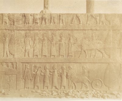 Processione sulla Facciata della Grande Scala, 1858 da Luigi Pesce