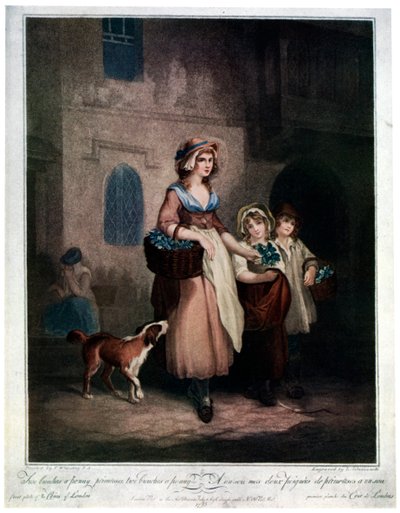 Due mazzi un penny, Primule, Due mazzi un penny, 1793, 1929 da Luigi Schiavonetti