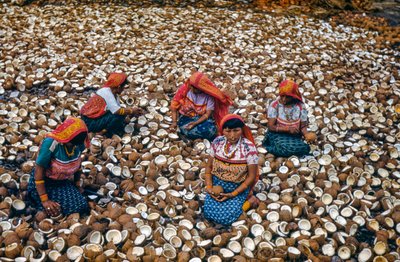 Popolo indigeno dell