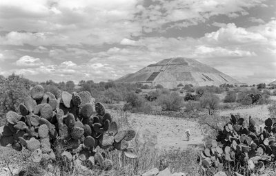 Piramide monumentale Maya, penisola dello Yucatan. 1936 da Luis Marden