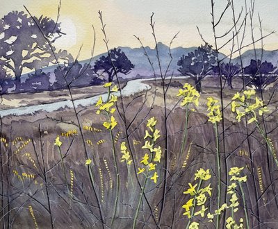 Fiori dell