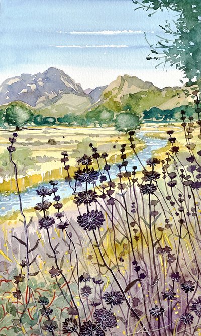 Fiori di montagna e di fiume da Luisa Millicent