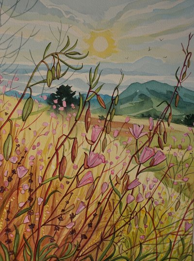 Alba sul campo rosa da Luisa Millicent