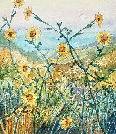 Fiori di campo soleggiati con vista sull