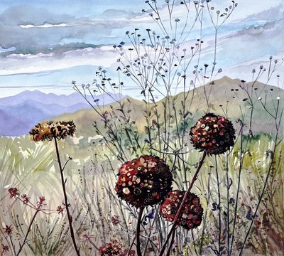 Fiori di campo e montagne da Luisa Millicent