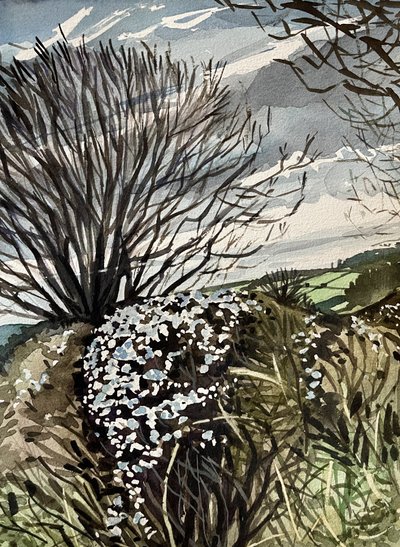 Fioritura invernale in campagna da Luisa Millicent