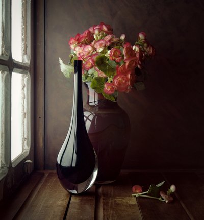 Luce da finestra con fiori rosa da Luiz Laercio