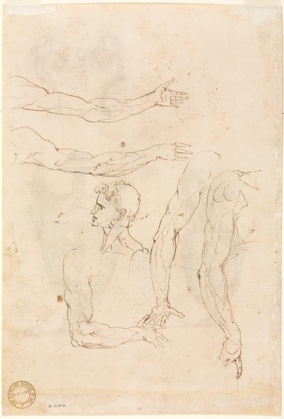 Schizzi di cinque braccia e una testa (verso) da Luzio Romano