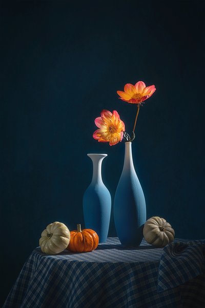 Dalie autunnali in vasi blu da Lydia Jacobs