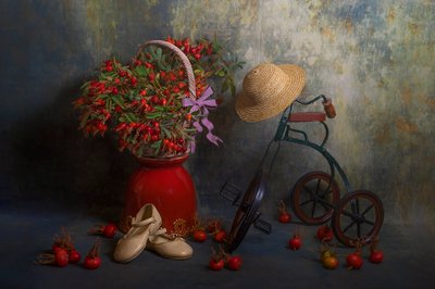Rosa canina autunnale e triciclo da Lydia Jacobs