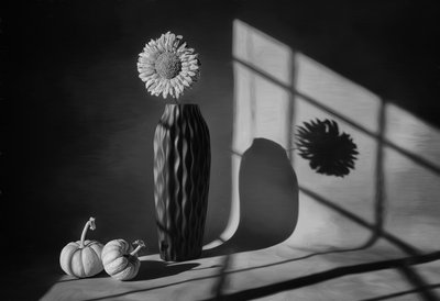 Natura morta con girasoli autunnali da Lydia Jacobs