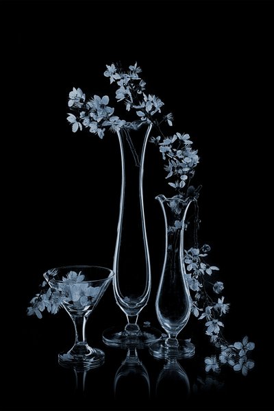 Fiori blu in vasi di vetro da Lydia Jacobs