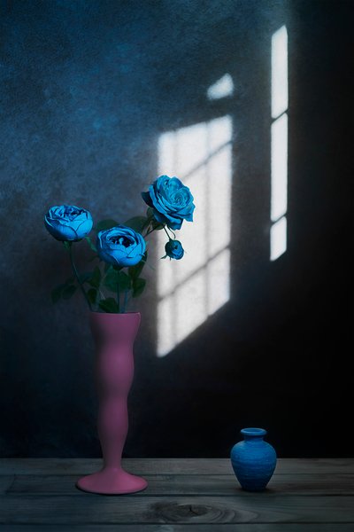 Luce da finestra "Rose blu" da Lydia Jacobs
