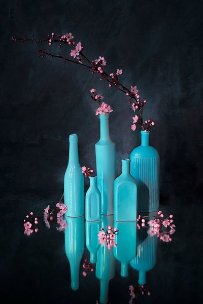 Vasi blu, fiori rosa da Lydia Jacobs