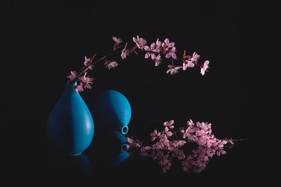 Vasi blu con fiori di ciliegio da Lydia Jacobs