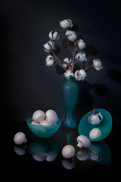 Natura morta con cotone e funghi da Lydia Jacobs