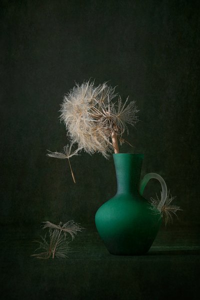 Vaso verde con semi di tarassaco da Lydia Jacobs