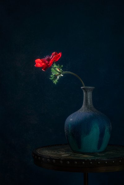 Vaso Dark Anemone da Lydia Jacobs