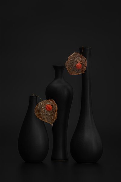Elegante still life con physalis neri da Lydia Jacobs