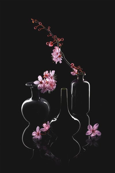 Eleganti vasi per fiori da Lydia Jacobs