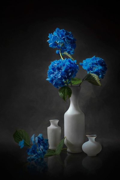 Eleganti ortensie blu da Lydia Jacobs