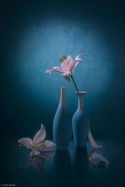 Eleganti gigli blu da Lydia Jacobs