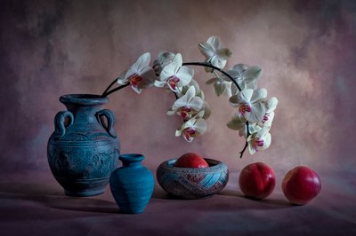 Elegante natura morta con orchidee da Lydia Jacobs