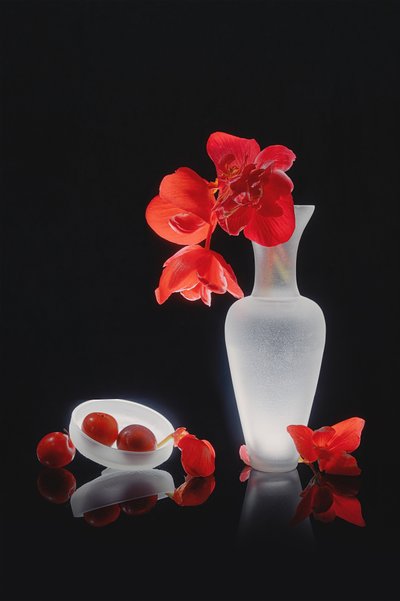 Elegante natura morta rossa da Lydia Jacobs