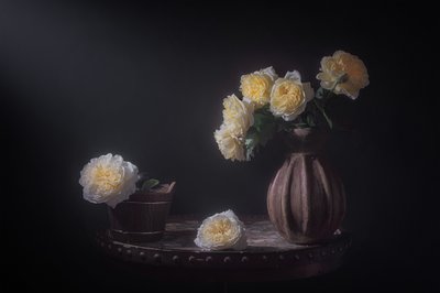 Eleganti rose gialle da Lydia Jacobs